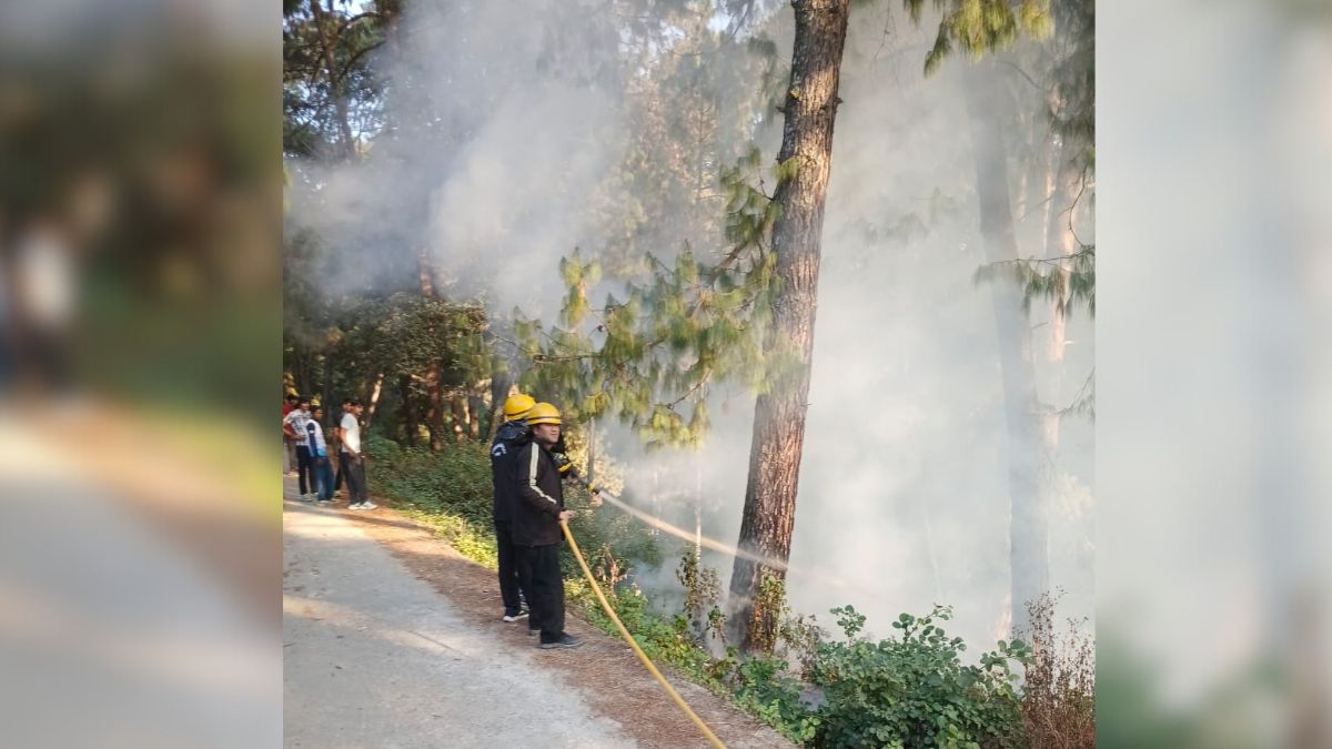 unruly elements set fire to forest adjacent to khania village