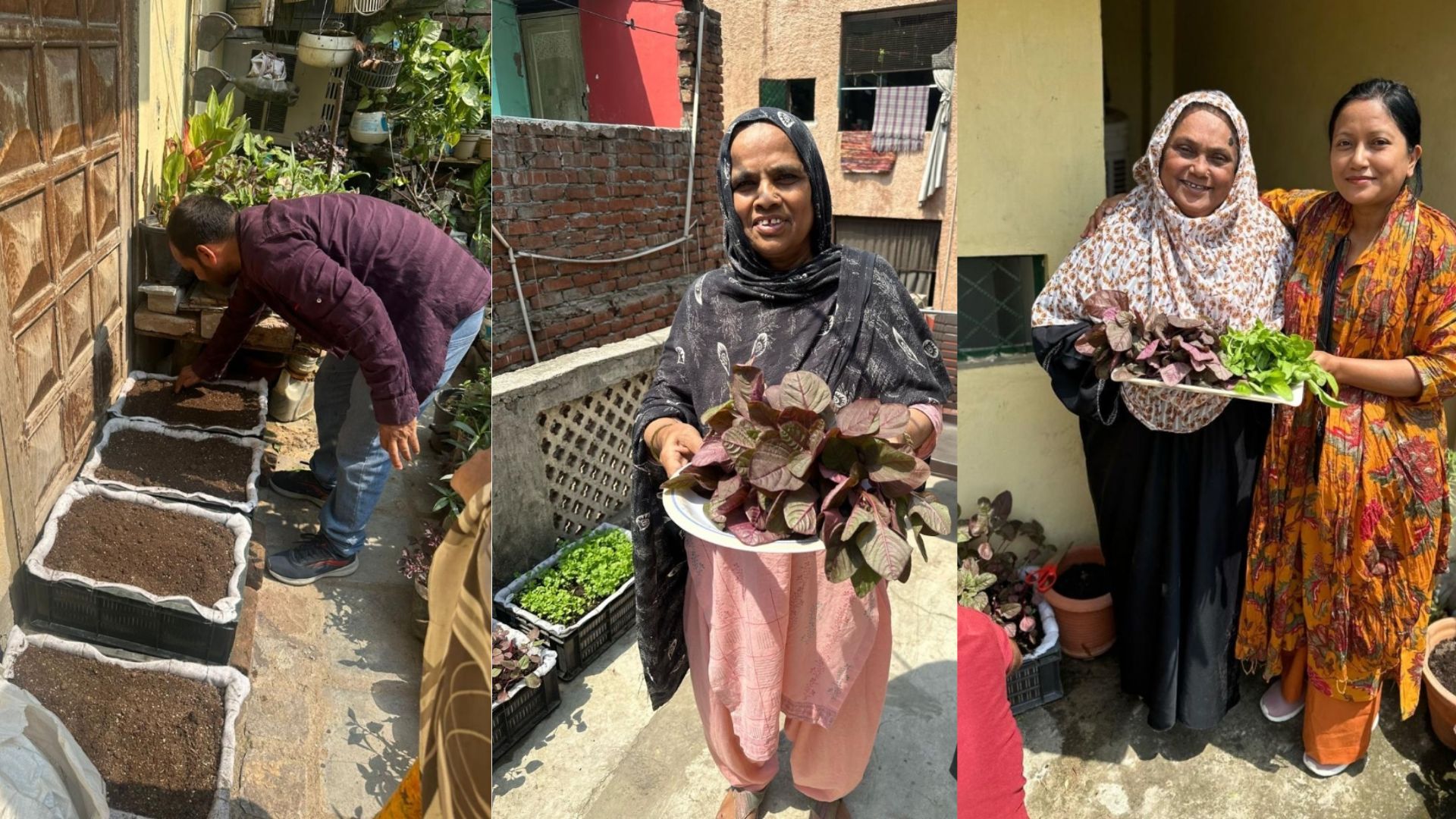 slum women cultivating change fresh vegetables urban gardening