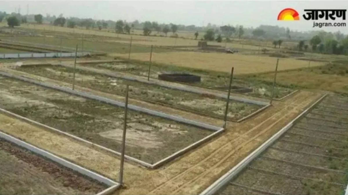 bihar government land survey and demarcation after illegal sales