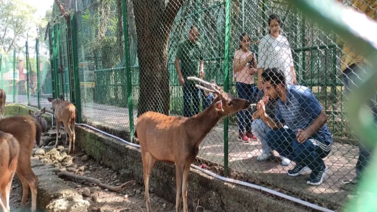 noida deer park 40 crore project to house 132 deer