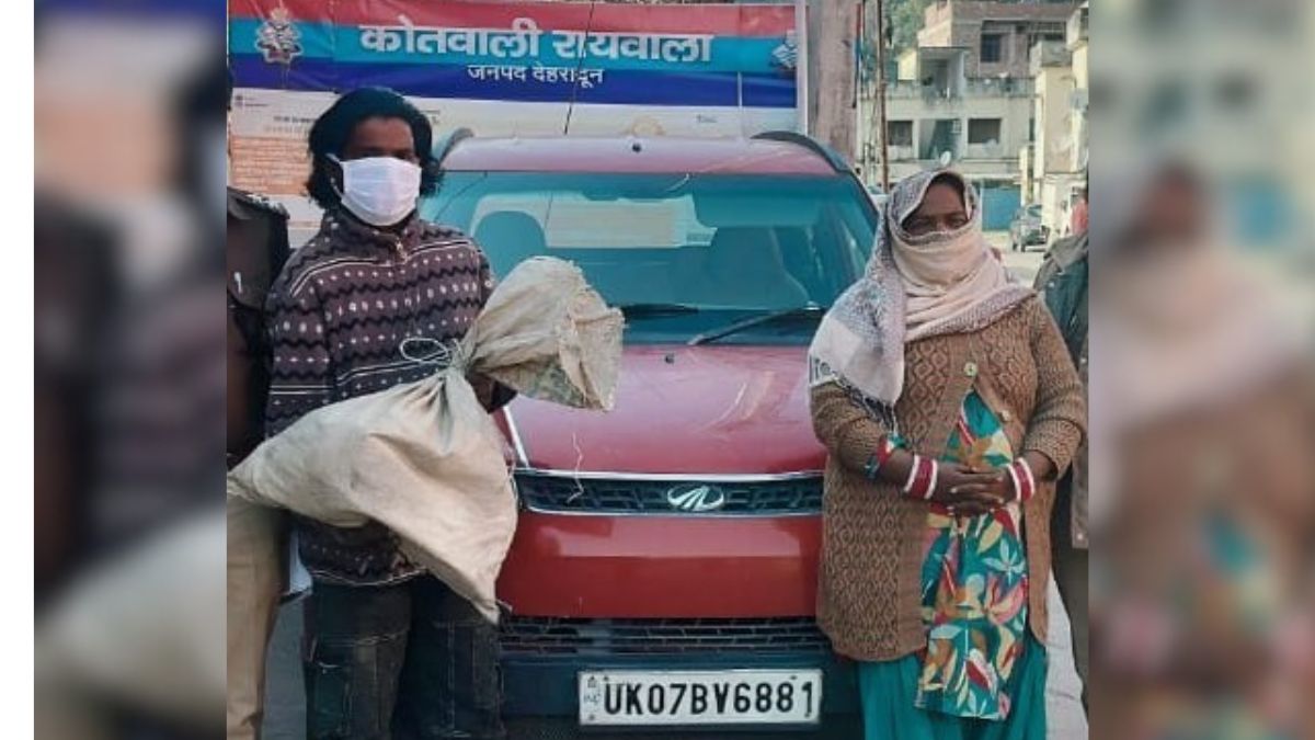 couple arrested smuggling 14 turtles in car