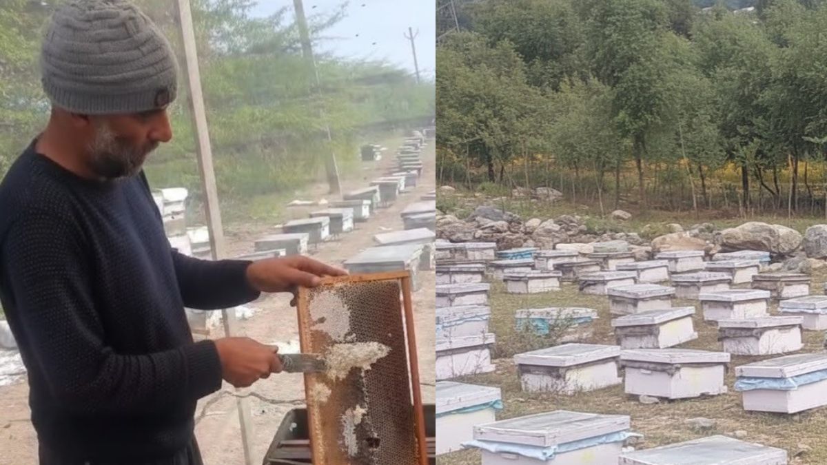 jammu and kashmir rambans sulai honey is adding sweetness to health along with employment pm modi has also praised it