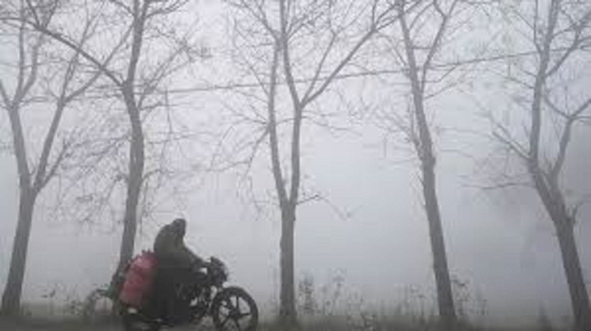 chandigarh cold wave yellow alert issued as temperatures drop