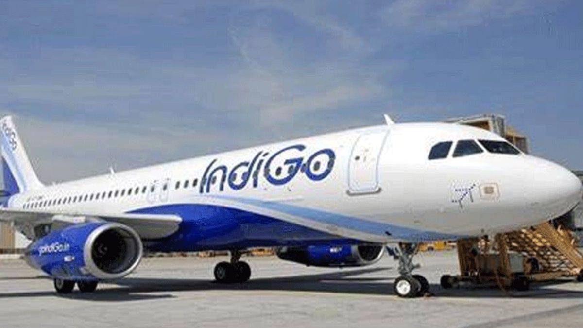 chaos at amritsar airport over indigo flight delays passengers argue with staff several flights delayed for the second day