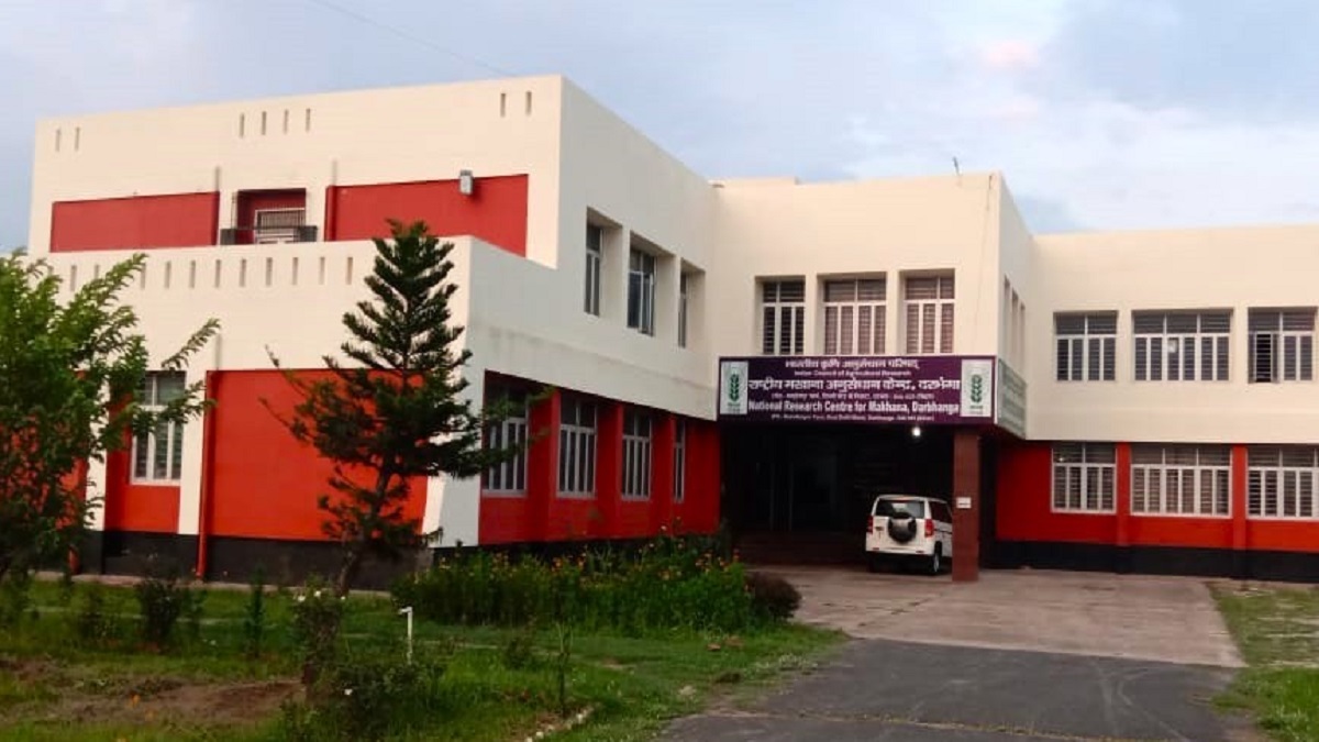 the production of swarn vaidehi makhana in darbhanga has opened the way for economic progress of the farmers