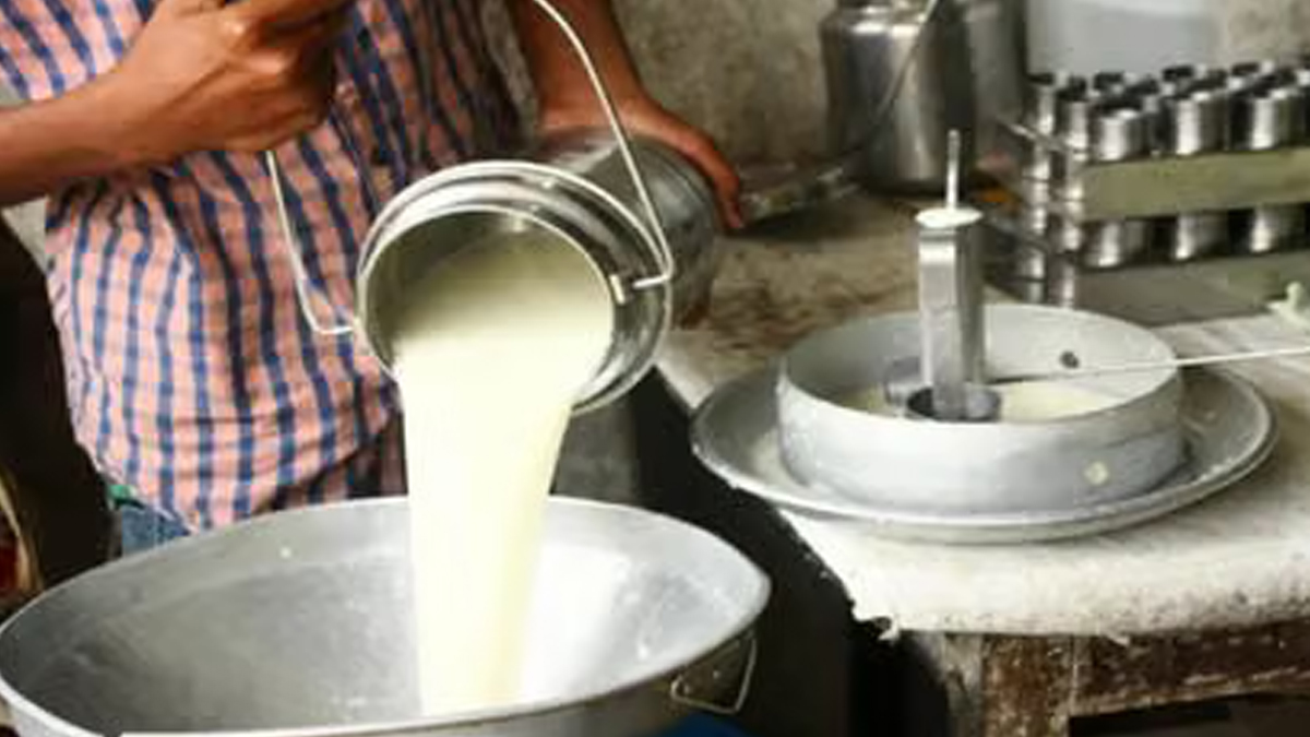 bihar food hub rise in egg milk production indias emerging food center