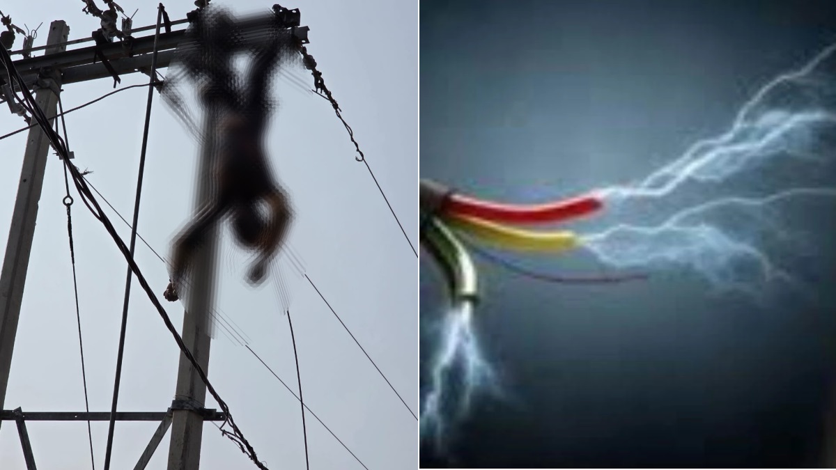 tikamgarh linemans negligence leads to electrocution death during power repair
