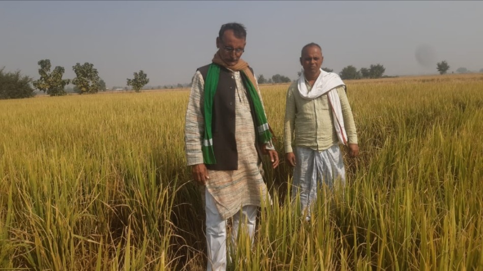 bn seed company fraud crop failure in chandauli farmers angry