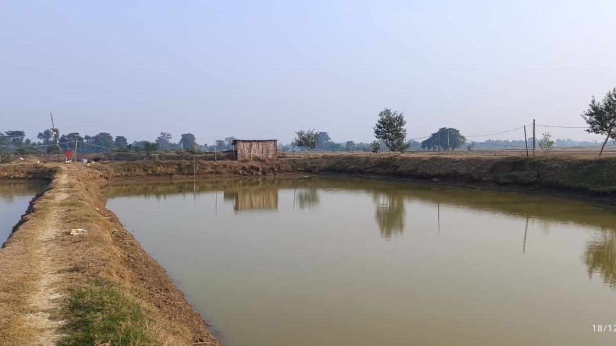 fisheries grant transforms baanka emerging as a fisheries hub