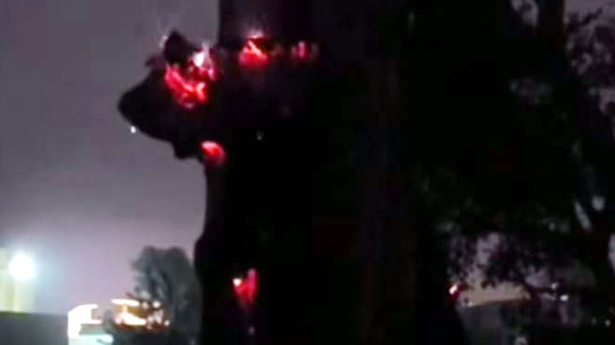 mysterious fire in tree high tension line narrowly escaped