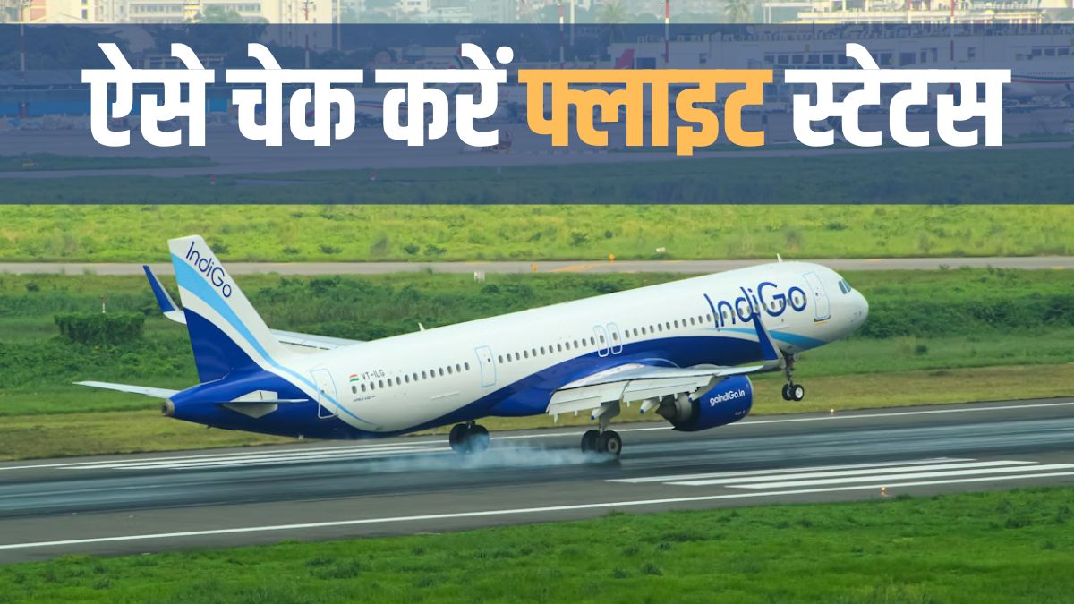 how to check indigo flight status check steps