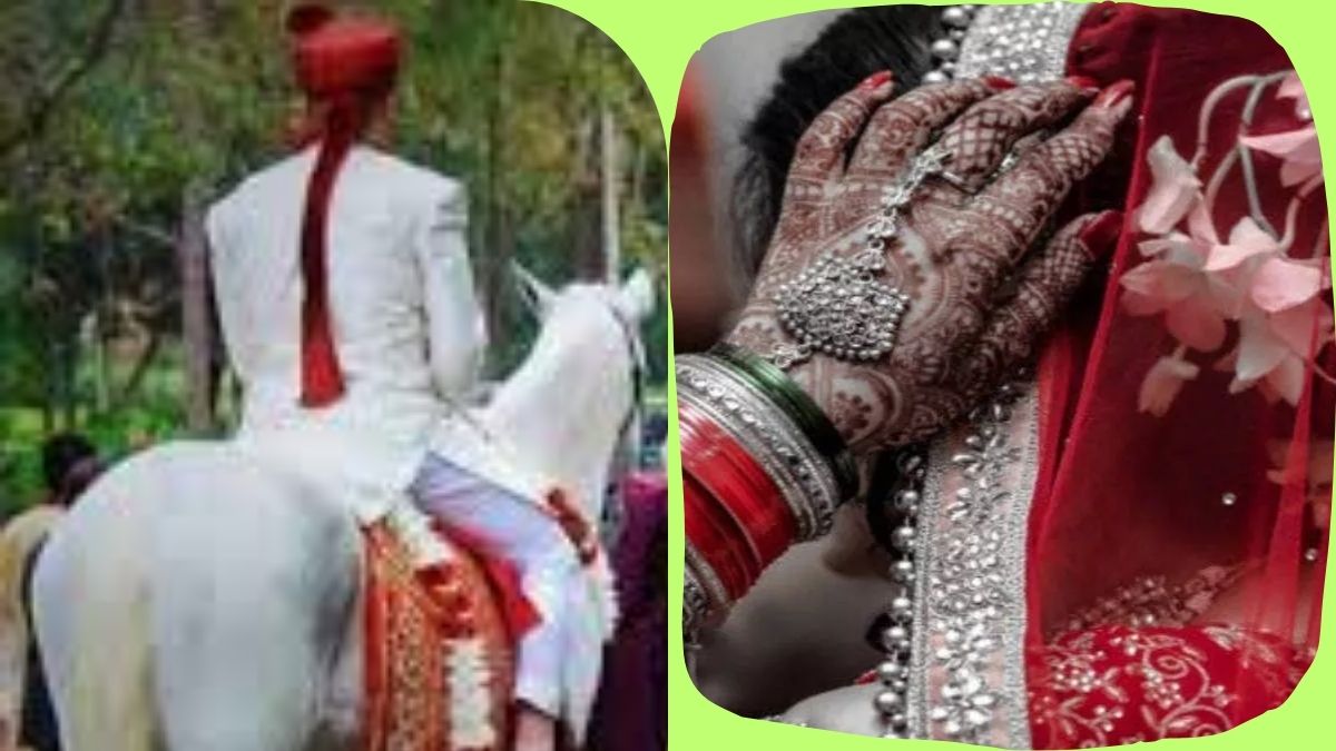 bihar hindi news one whose wedding procession was supposed to come out hindi news today