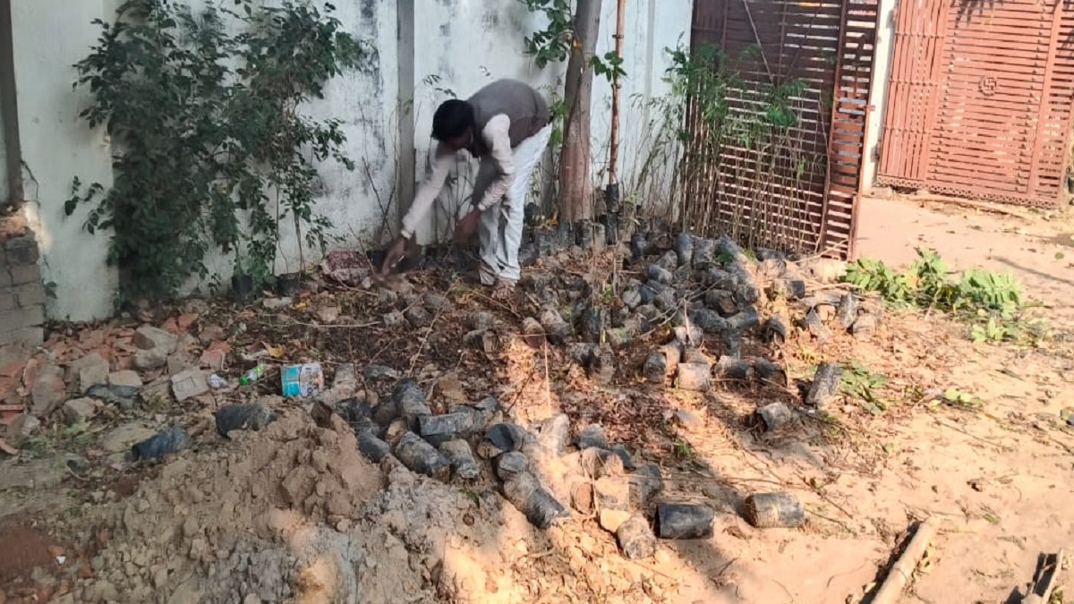 plight of greenery in prayagraj plants dried up due to indifference of responsible officers