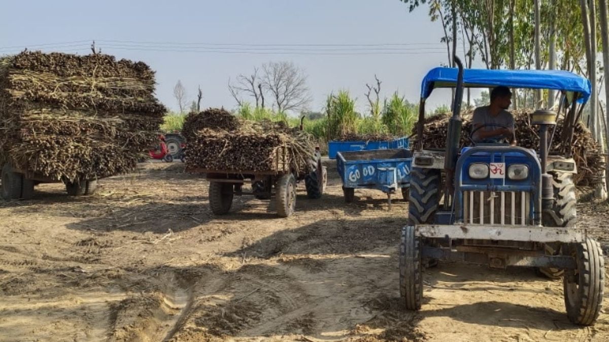 sugarcane purchase centers farmers forced to sleep in open due to disarray