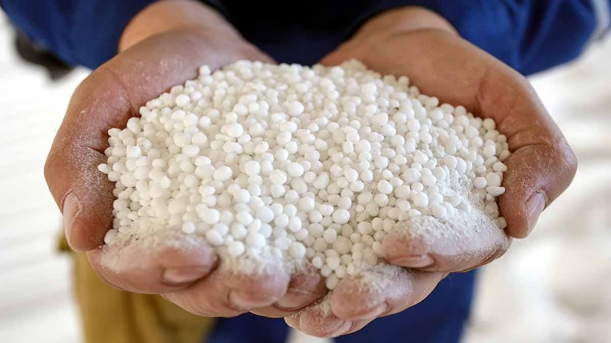 delhi terror attack illegally sold chemicals raise security concerns