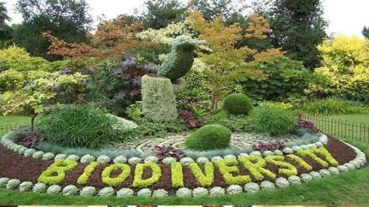 dhanauri wetland to become biodiversity park yeidas plan