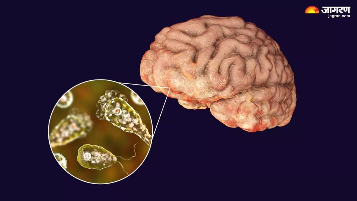 kerala braineating amoeba cases surge 42 deaths reported in 2025