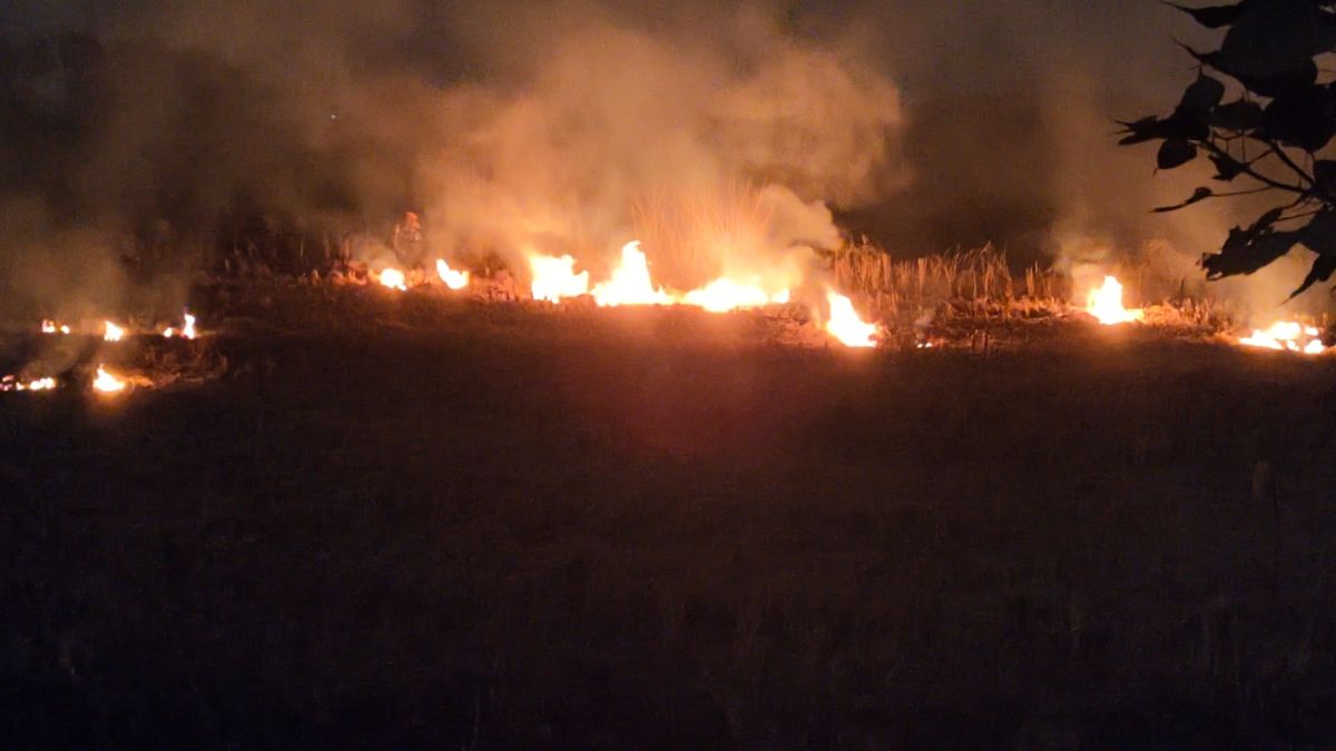 stubble burning increases pollution in kaimur warnings of agriculture department ineffective