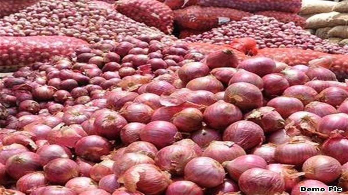 khandwa onion exports high demand in malaysia dubai sri lanka