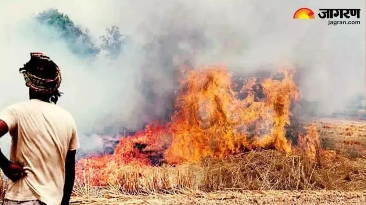 action against stubble burning in punjab and haryana during rabi season