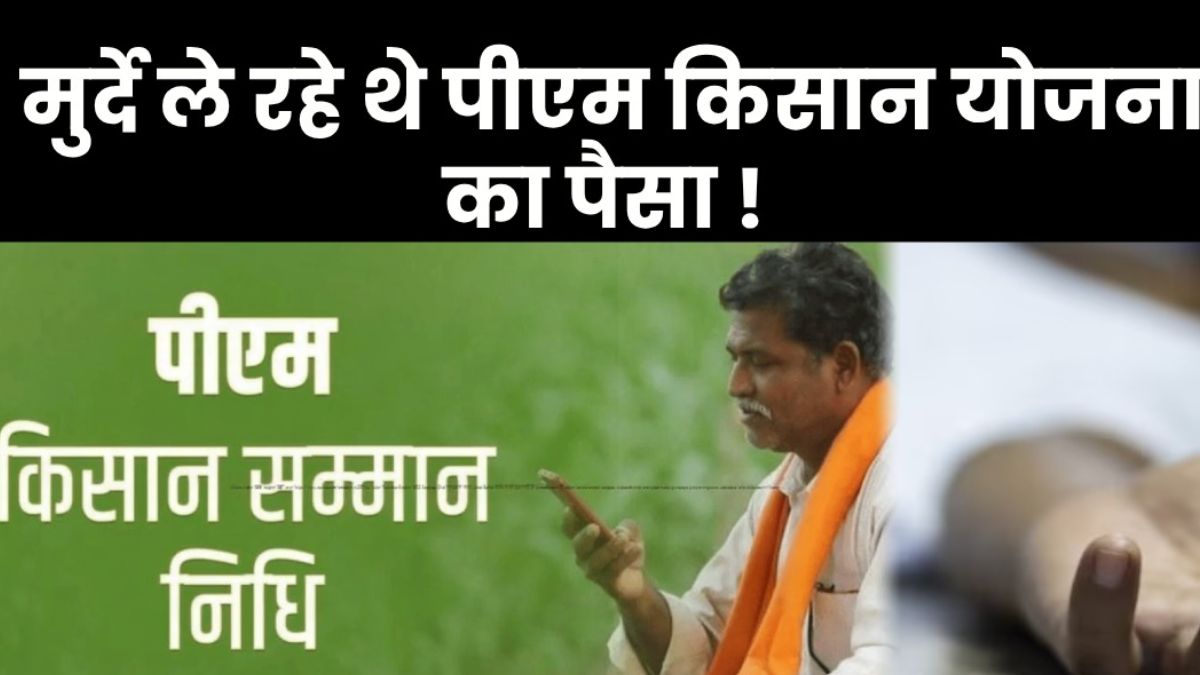 fraud in pm kisan samman nidhi died and minor are beneficiaries person with land is also seems kisan