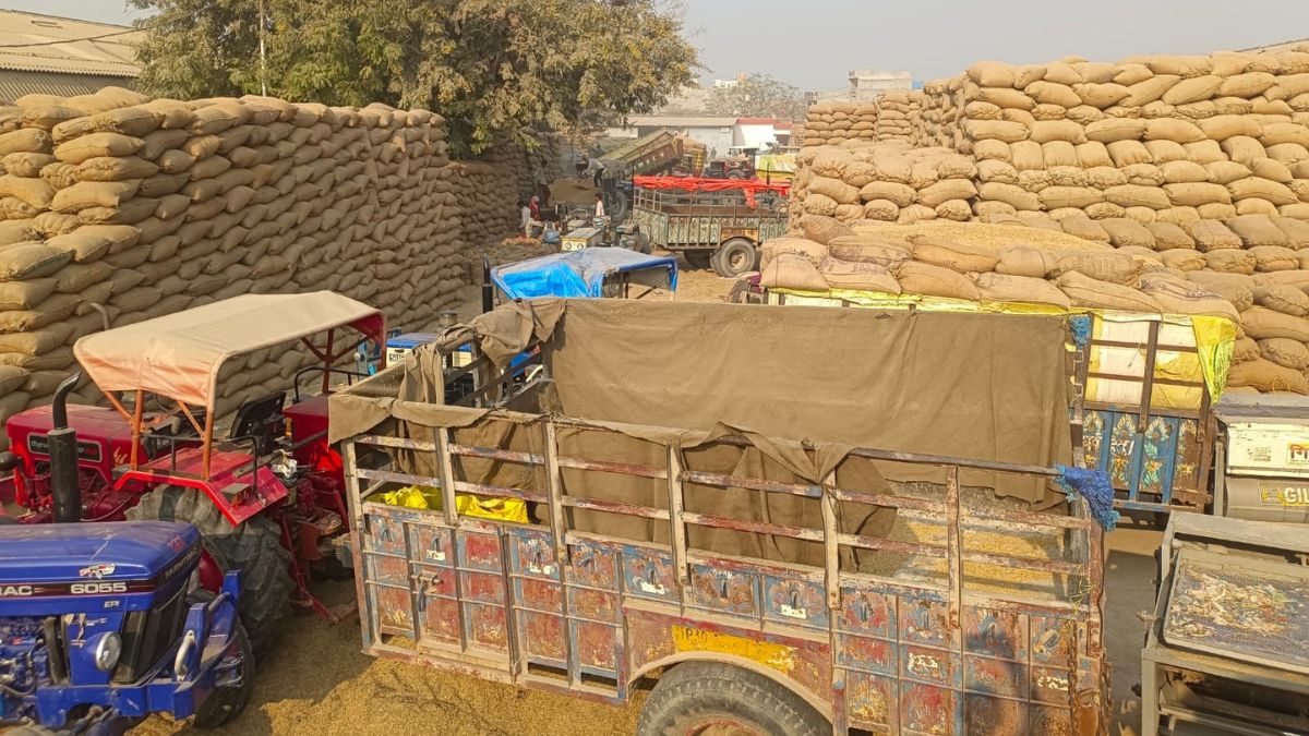 hardoi farmers face delays and rejections at paddy procurement centers