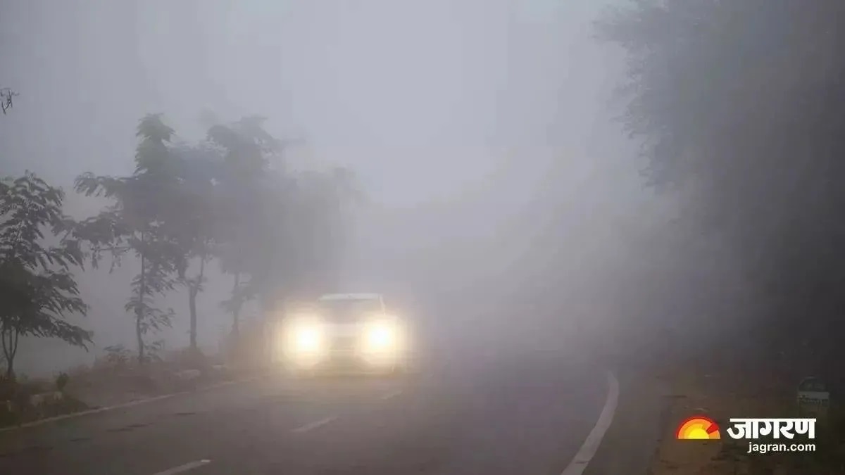 haryana weather update cold wave intensifies yellow alert issued