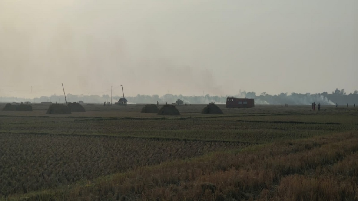 fire destroys paddy crop in gurursai village baharagora