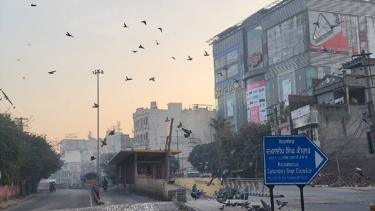 punjab cold wave alert yellow alert issued for eight districts