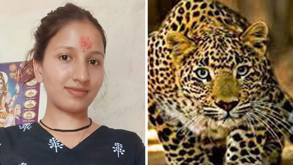 brave girl escapes leopard attack with daring leap