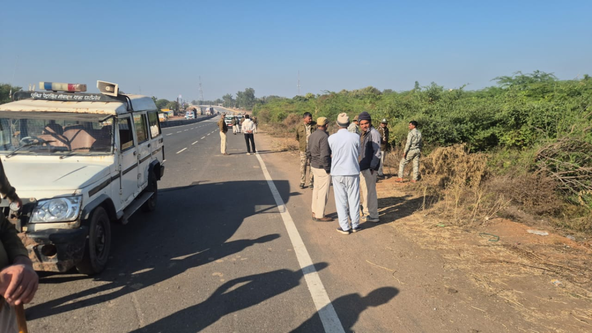 cheetah death in gwalior speeding vehicle kills kuno escapee