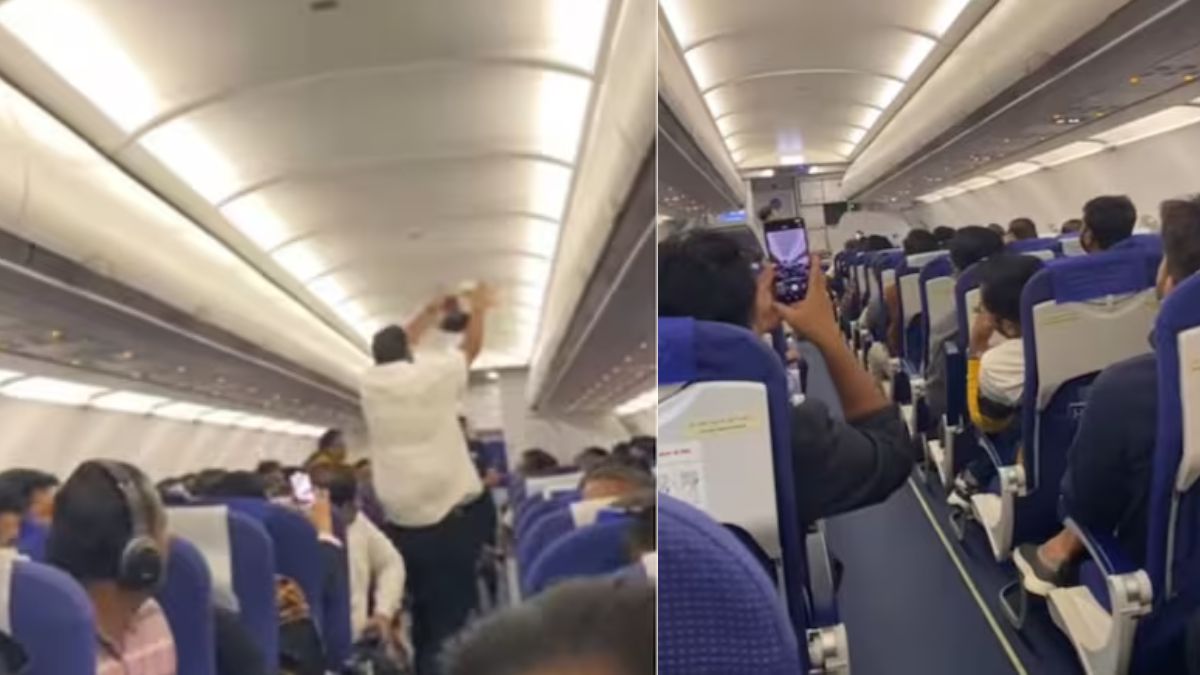 pigeon enters indigo flight before take off causes chaos amid ongoing crisis