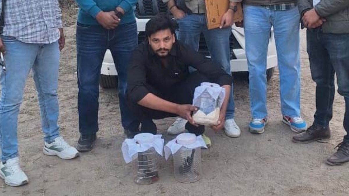 extortion plot foiled in jind accused arrested with three pistols and four cartridges