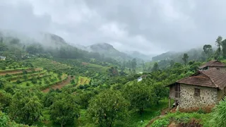 असली कश्मीर से कम नहीं है साउथ का यह हिल स्टेशन (Image Source: AI-Generated)