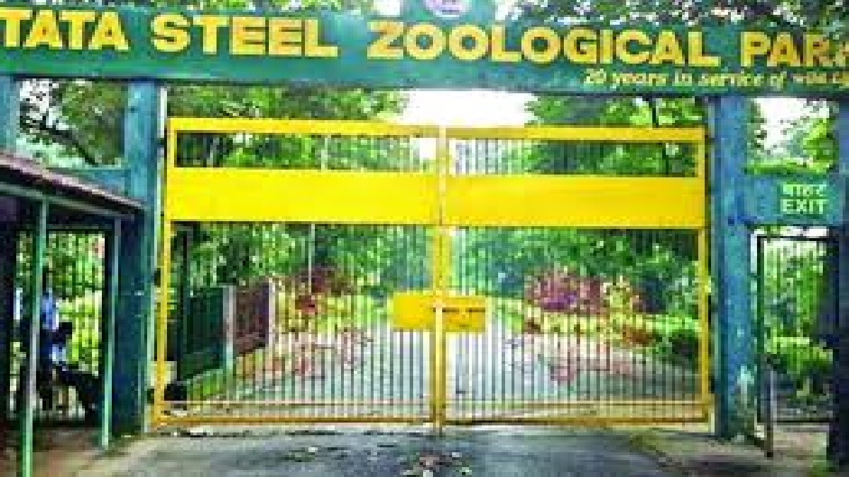 tata zoo blackbuck deaths highlight wildlife conservation concerns