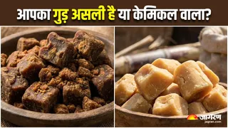 कहीं आप भी तो नहीं खा रहे केमिकल वाला गुड़? इन 5 तरीकों से करें असली की पहचान (Image Source: AI-Generated)