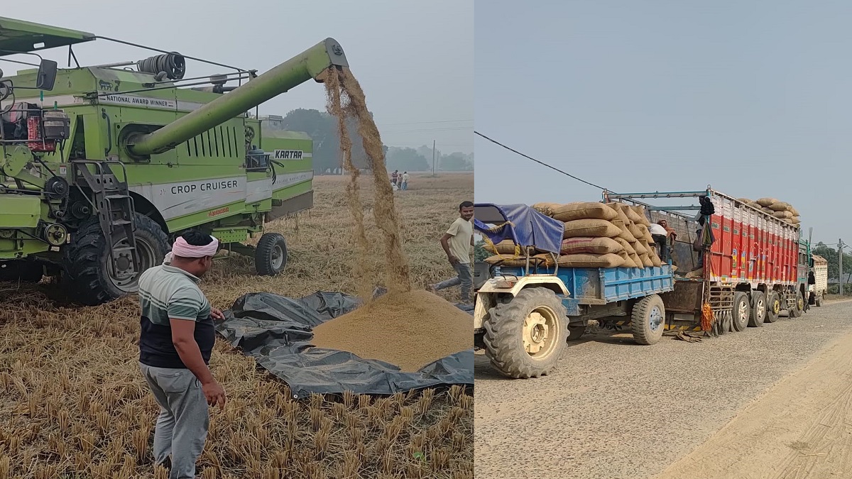 80 percent of the paddy produced in darbhanga is sold and sent to other countries