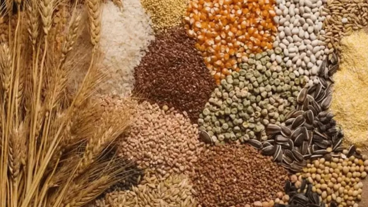 bundelkhand millets processing centers ready benefits for farmers