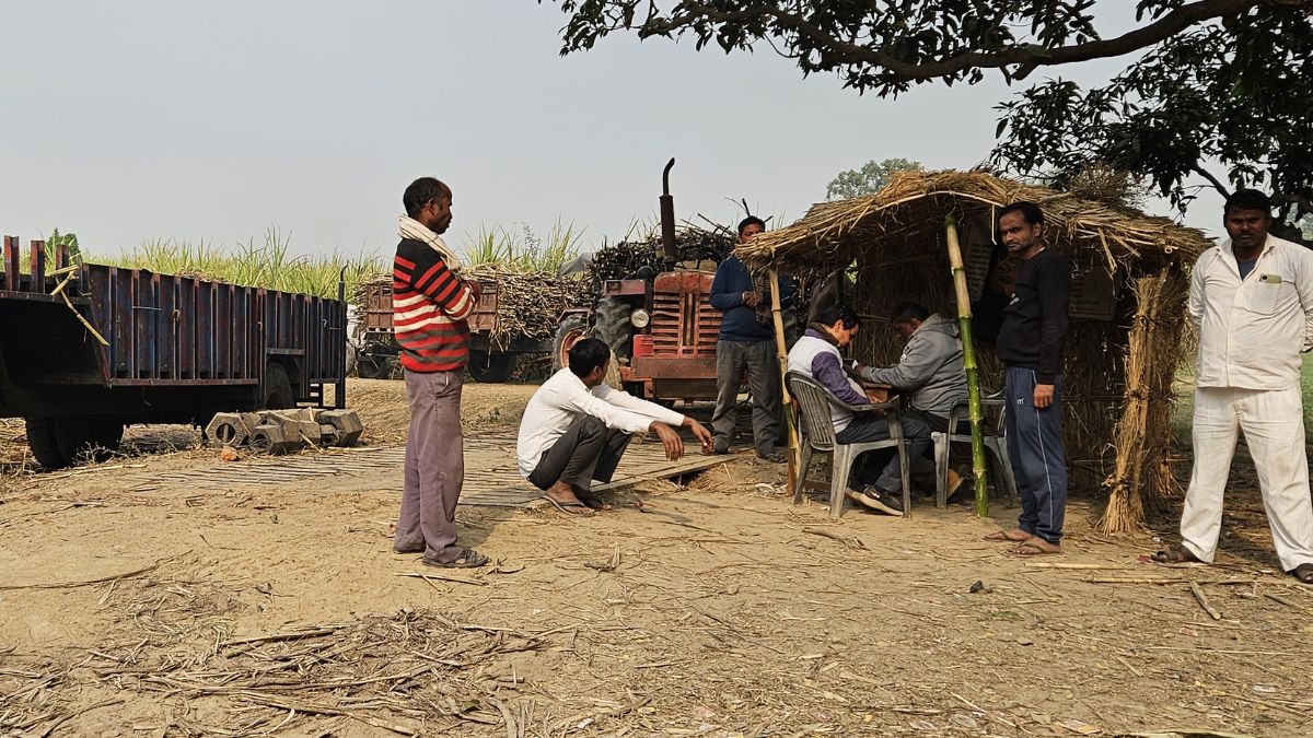 gonda cold wave temperature drops farmers face difficulties at sugarcane centers