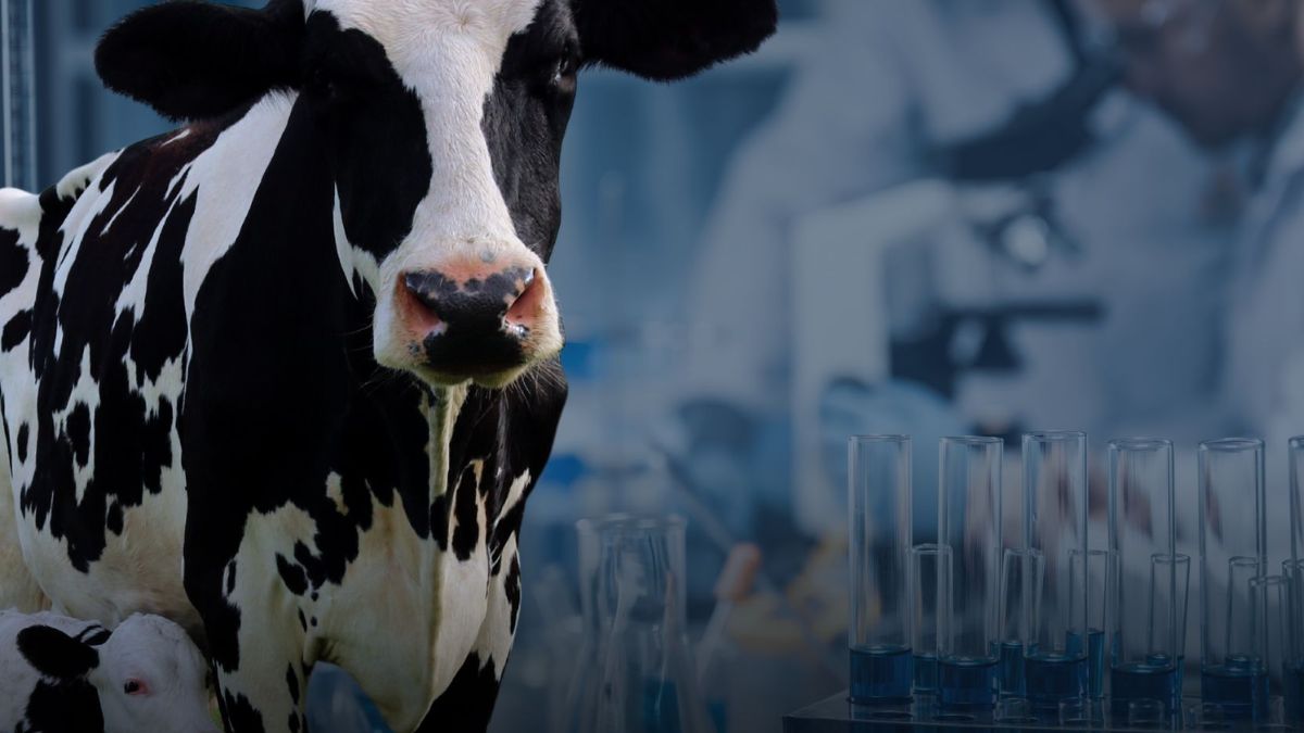 up selfreliant in bovine serum technology american tech discontinued