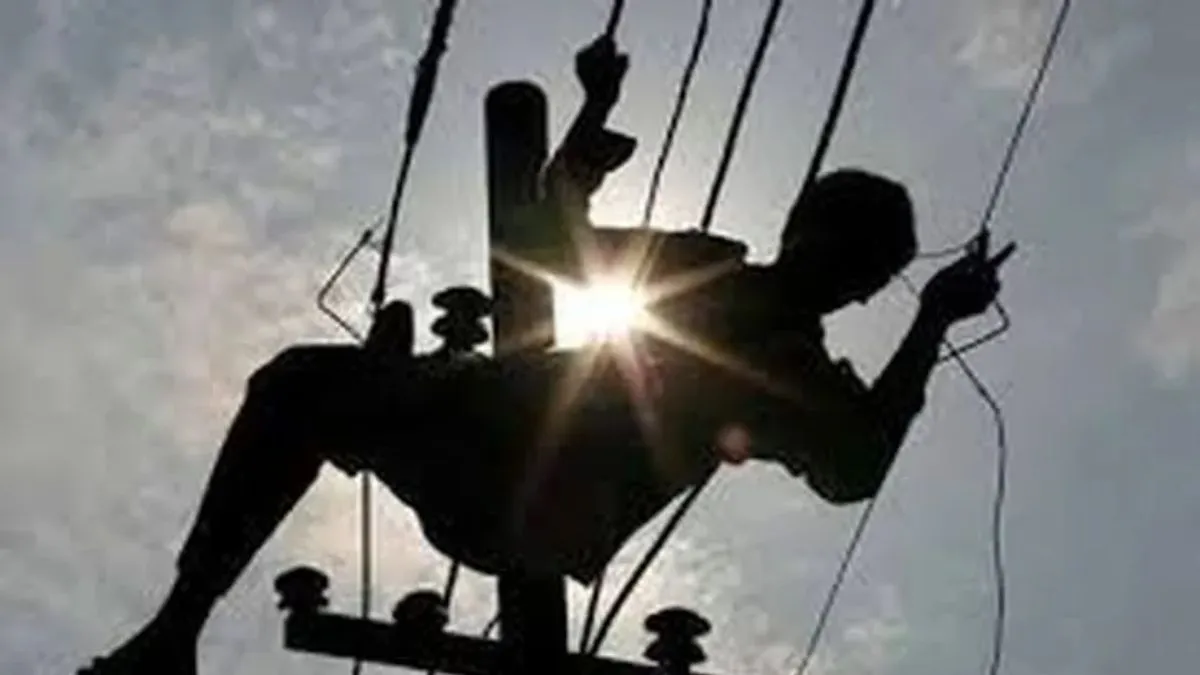 बिहिया के बधार से 11 पोल का बिजली का तार चोरी, किसानों की सिंचाई ठप
