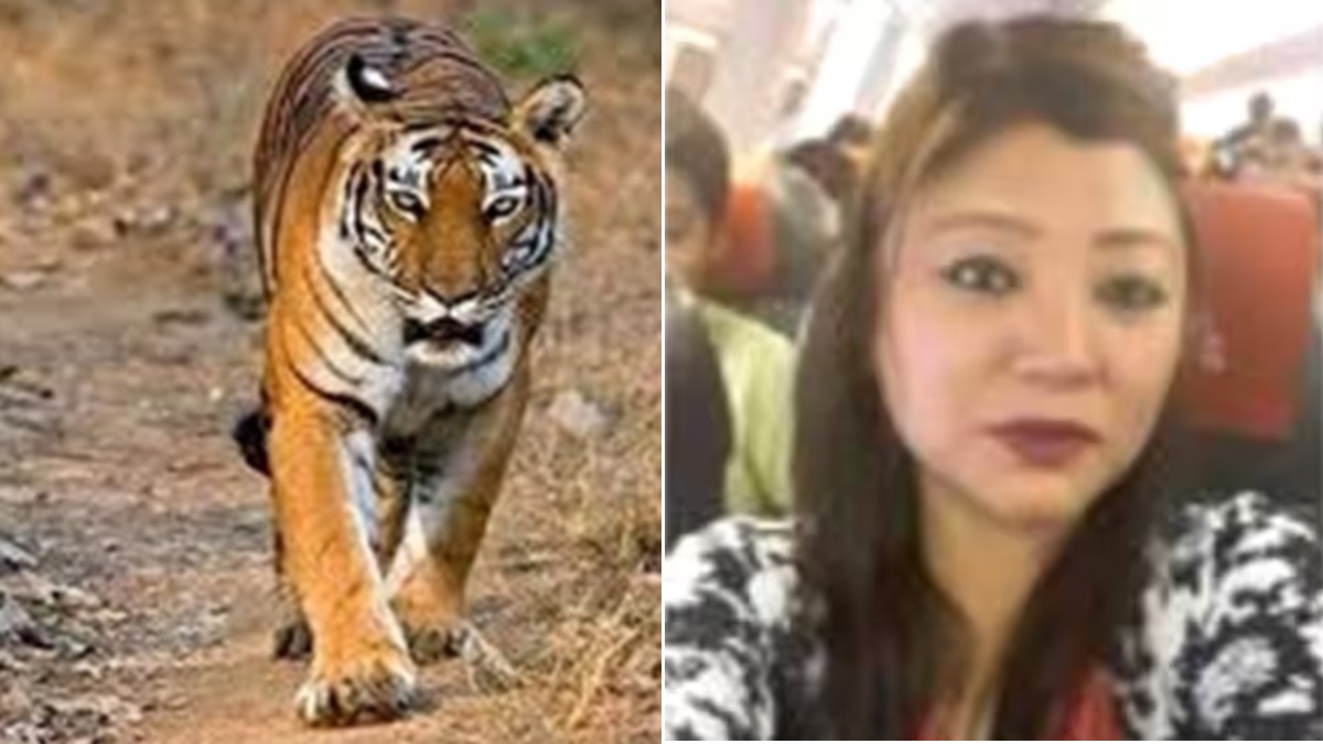 tiger trafficking yangchen lachungpa arrested for international smuggling