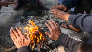 दिल्ली-यूपी समेत इन राज्यों में घने कोहरे का अलर्ट (फोटो- एएनआई)