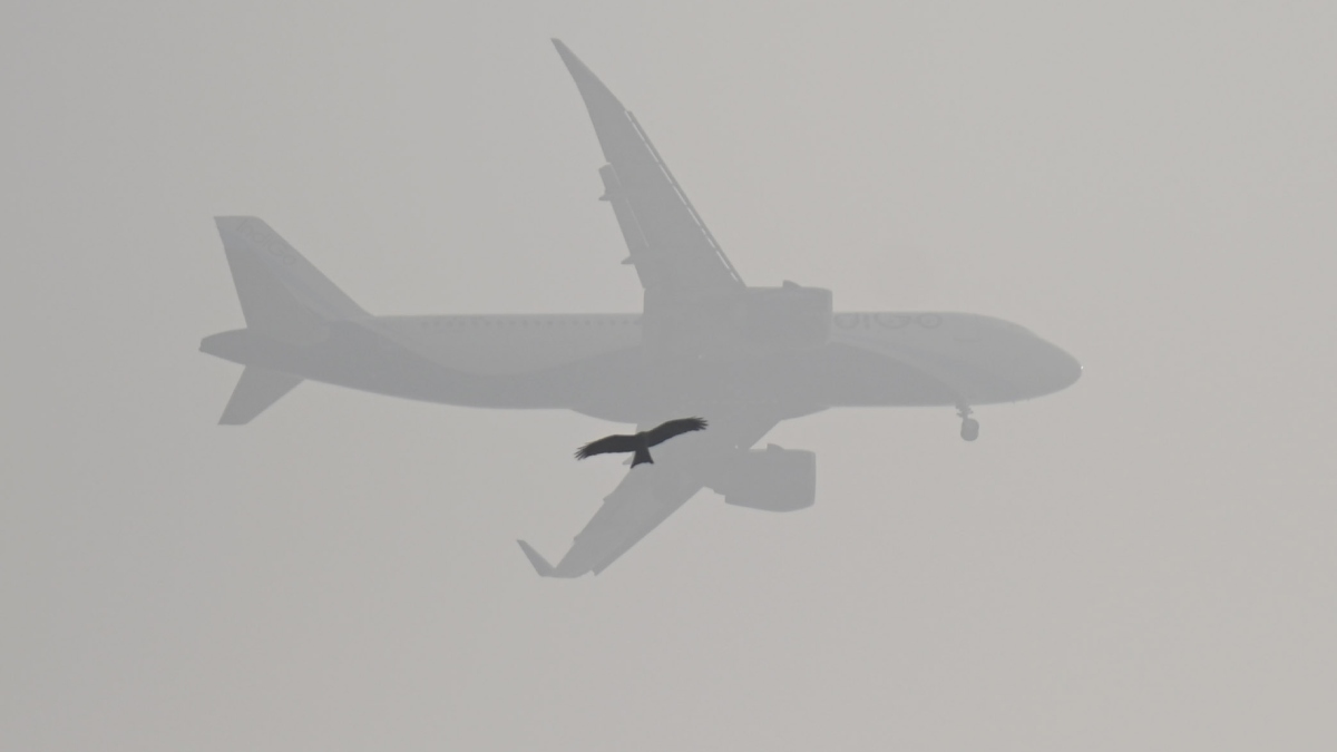 patna airport flight operations recovering