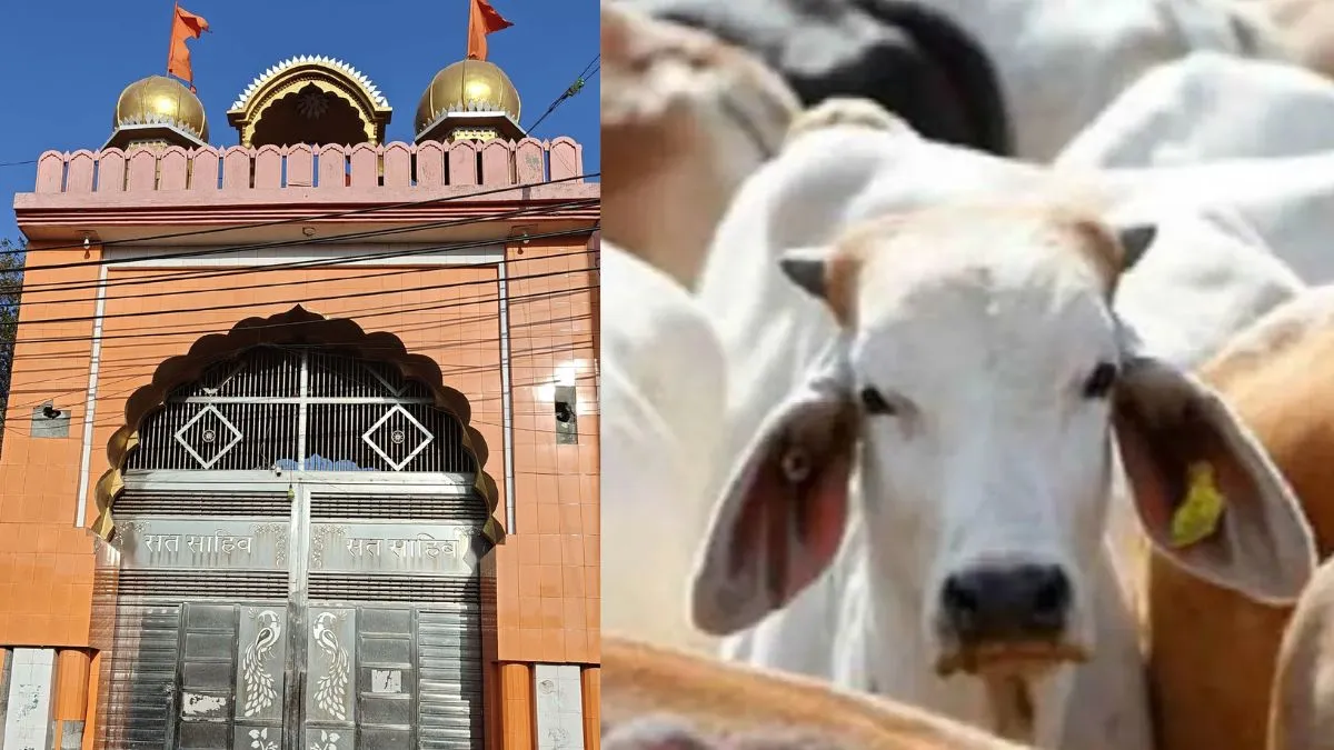 हरियाणा के छुड़ानी गांव के नाम के पीछे क्या है कहानी? महाभारत काल से है कनेक्शन 
