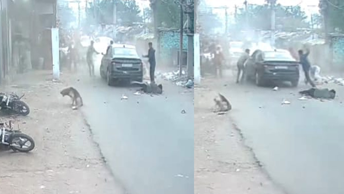 patna car accident uncontrolled car hits six one dead