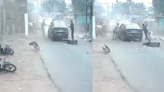 हादसे के बाद भाग कार चालक को रोकने की कोशिश करते लोग। वीडियो ग्रैब