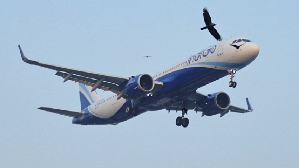 indigo crisis over 200 flights cancelled today passengers face refund issues key updates