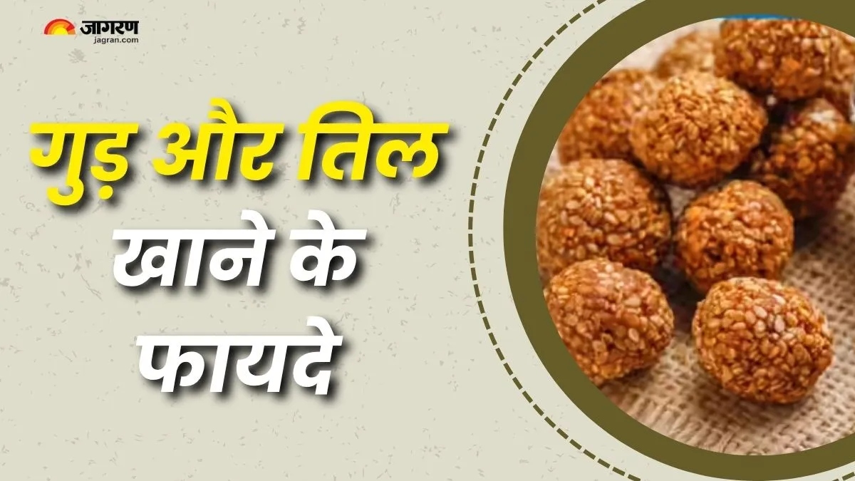 tilgur winter companion for relief from cold