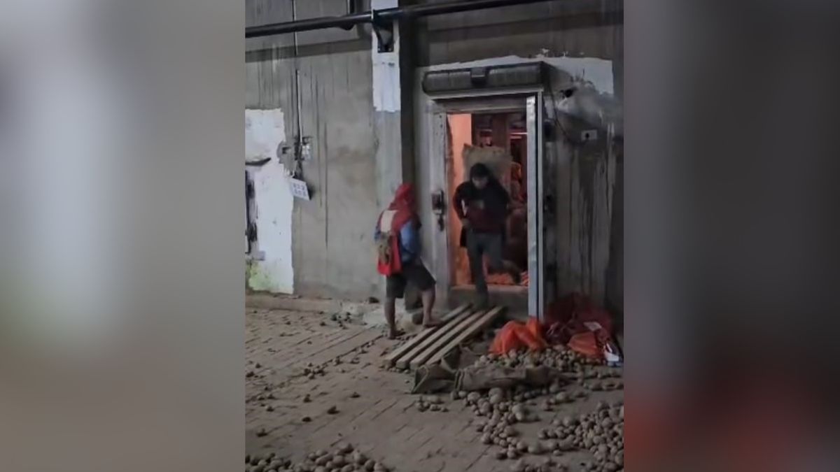 kanpur cold store license renewal strict safety standards imposed